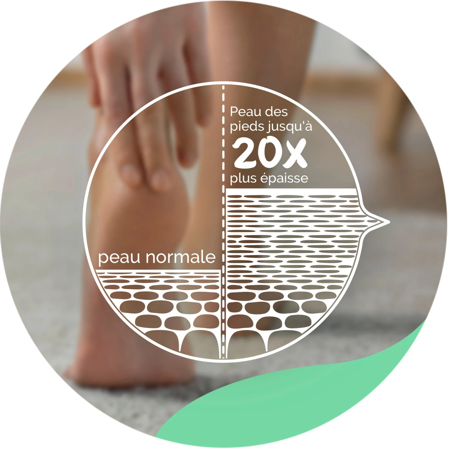 Scholl Crème Hydratante Adoucissante 150 Ml – Image 4