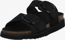 Scholl Mules Classiques Mule AMBRE Femme Noir