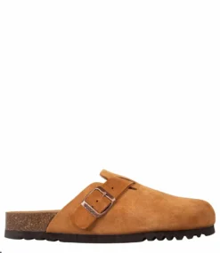 Scholl Olivier Brown