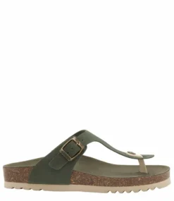 Scholl Nicole Forest