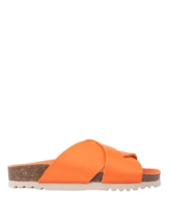 Scholl Vivian Arancio